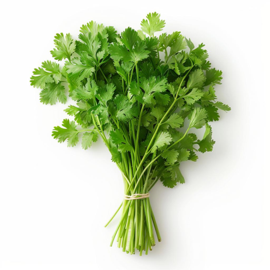 Fresh Coriander leaves - Aprx 130g
