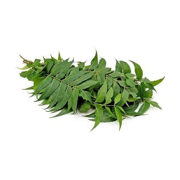 Fresh Neem Leaves - 25g