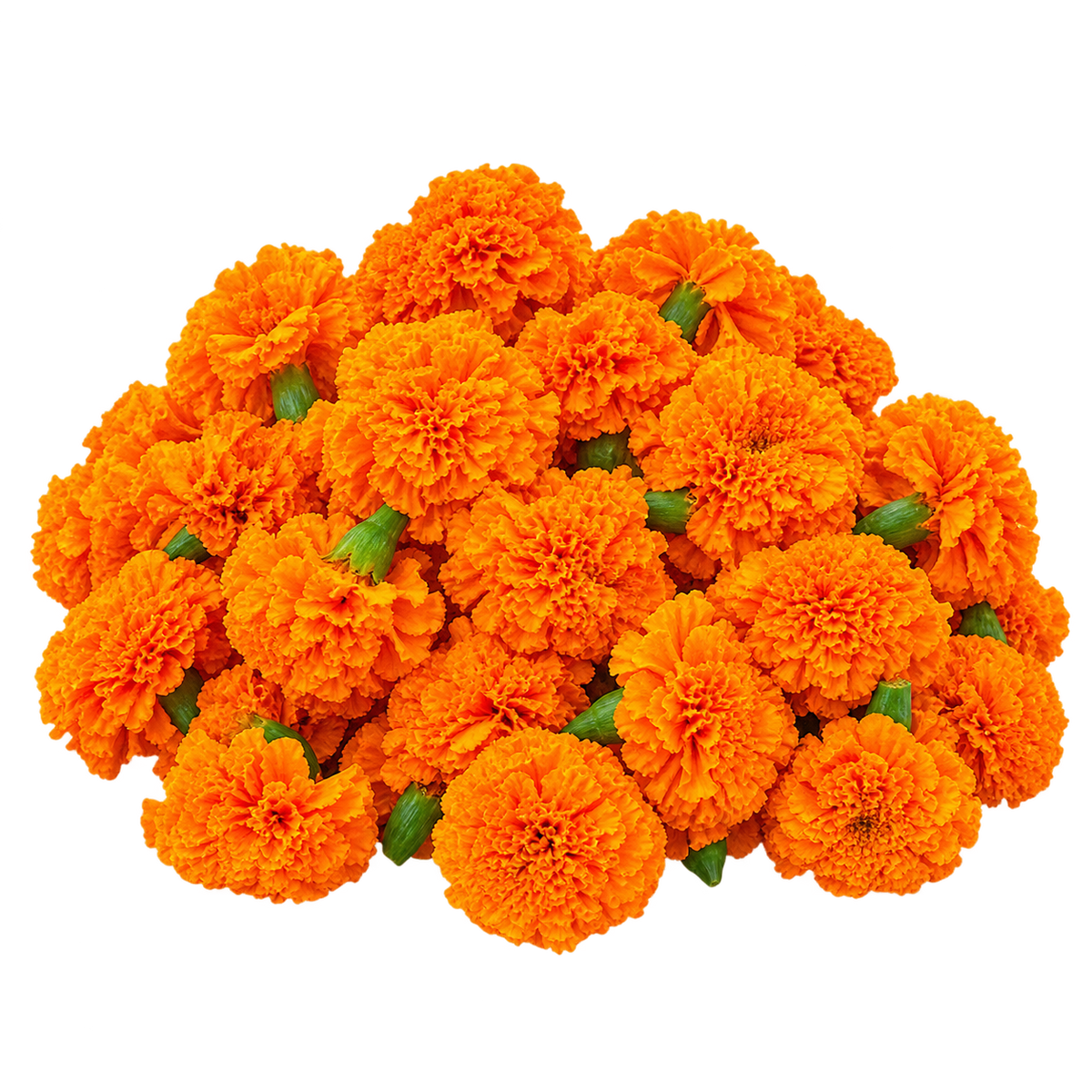 Fresh Orange Marigold Flowers – 100g