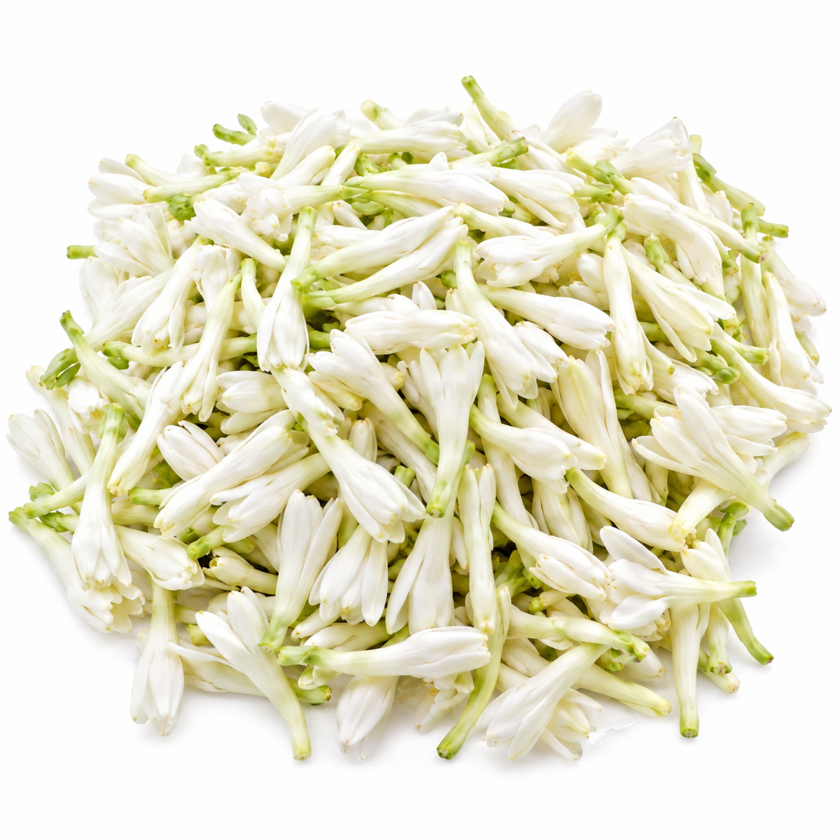 Fresh Sampangi Flower – 50g Pack (Loose Flowers)