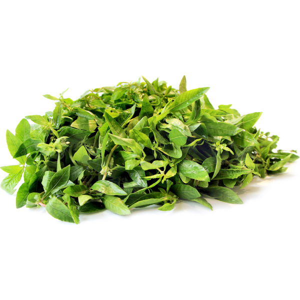 Ponnankanni Keerai (Dwarf Copper Leaves) - aprx 250g