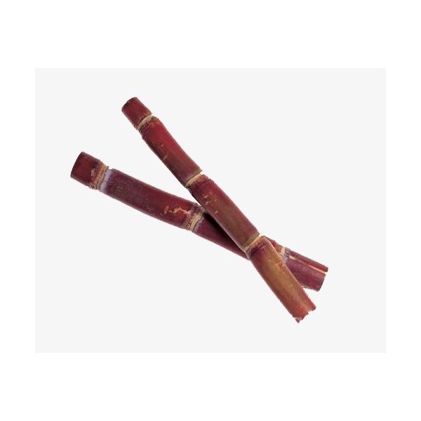 Red Sugarcane (Karumbu) (2 Pieces) - Aprx 500g