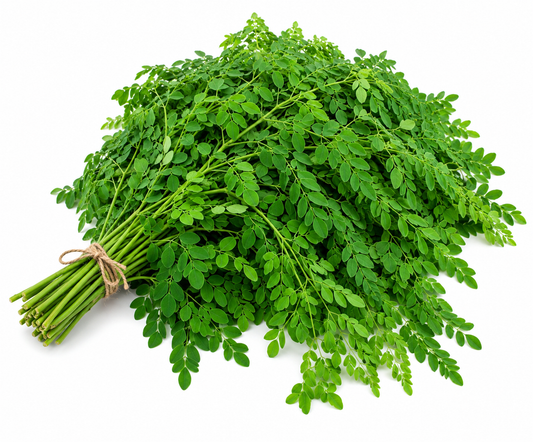 Fresh Drumstick Leaves(Moringa leaves) - 250g