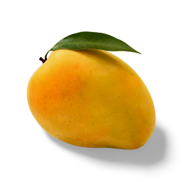 Mango - Alphonso (1 piece) Aprx - 200g