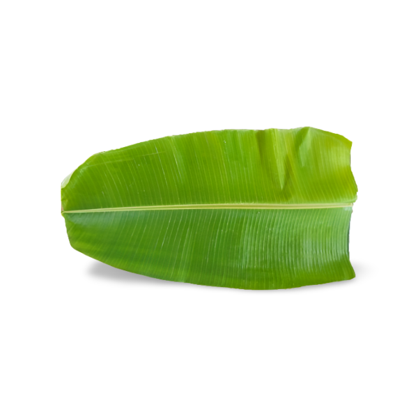 Fresh Banana Leaves (1 piece)