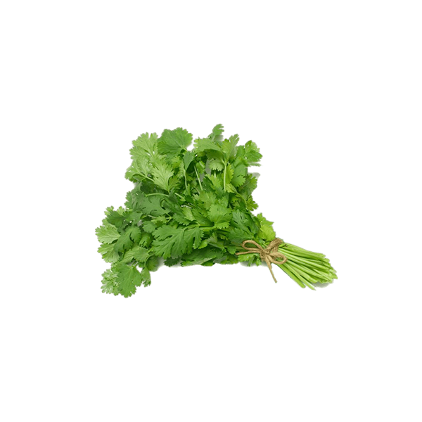 Fresh Coriander leaves - Aprx 130g