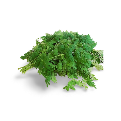 Fresh Drumstick Leaves(Moringa leaves) - 1 bunch ~ 250g