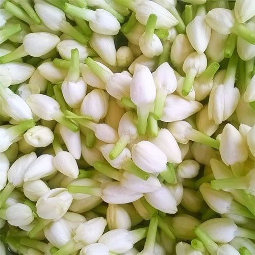 Fresh Jasmine Flower - 50g