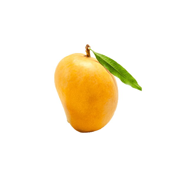 Mango - Kesar (1 piece) Aprx 160g