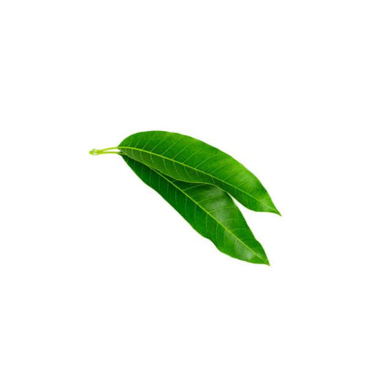 Fresh Mango Leaves (5 Pieces)