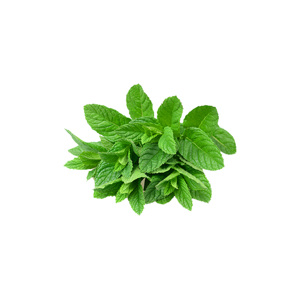 Mint Leaves Aprx-100g