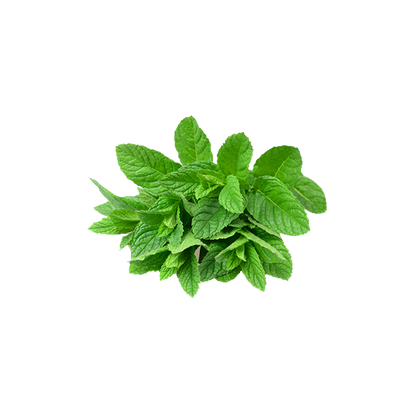 Mint Leaves Aprx-100g