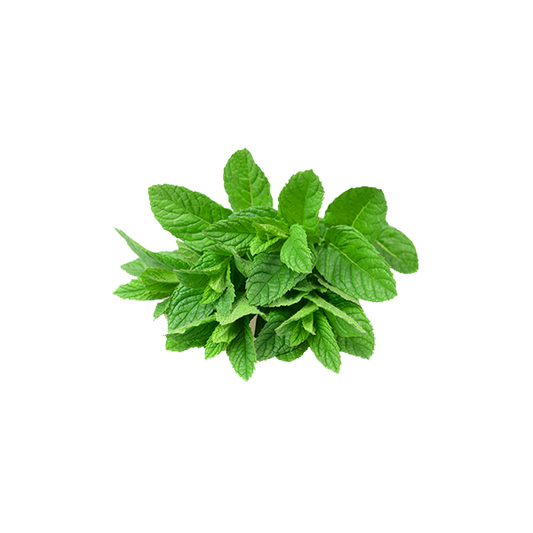 Mint Leaves Aprx-100g