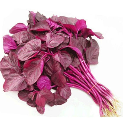 Red Amaranthus ( Red cheera|Red Spinach | SAAG Indian Red )