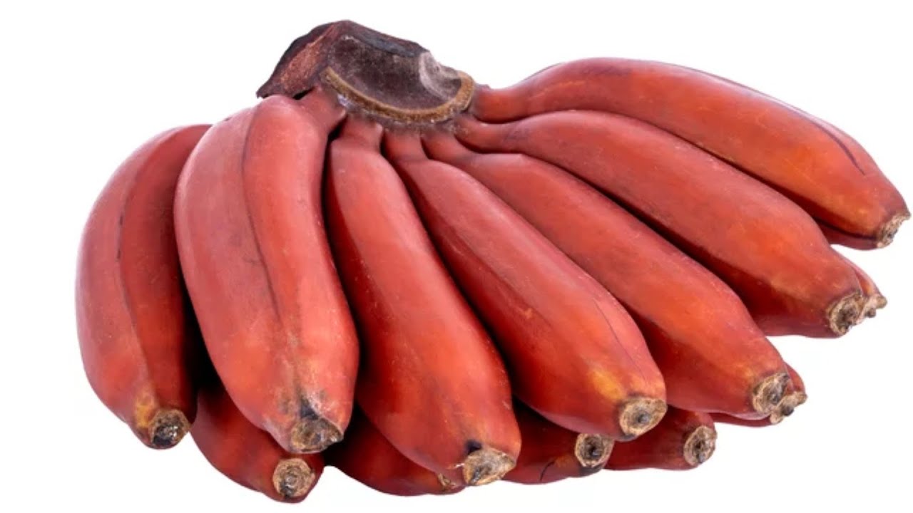 Fresh Red Banana (Sevvazhai) - 500g (5-6 Pcs) / 1Kg (10-12Pcs)