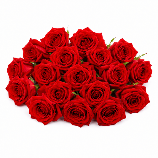 Fresh Button Rose – 100g