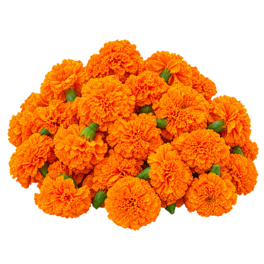 Fresh Orange Marigold Flowers – 100g