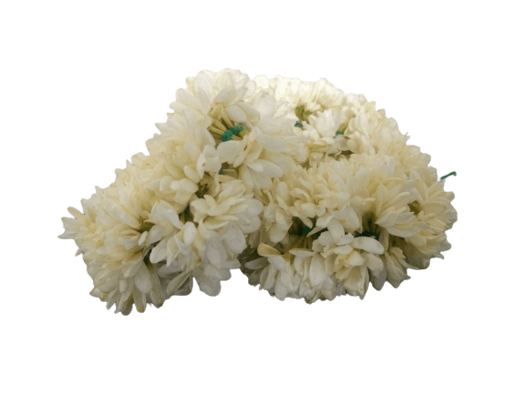 Fresh Jasmine (Mullai) Flower String – 1 ft (30 cm)