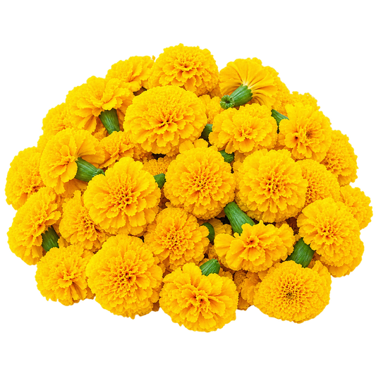 Fresh Yellow Marigold Flowers – 100g | Pooja Flowers