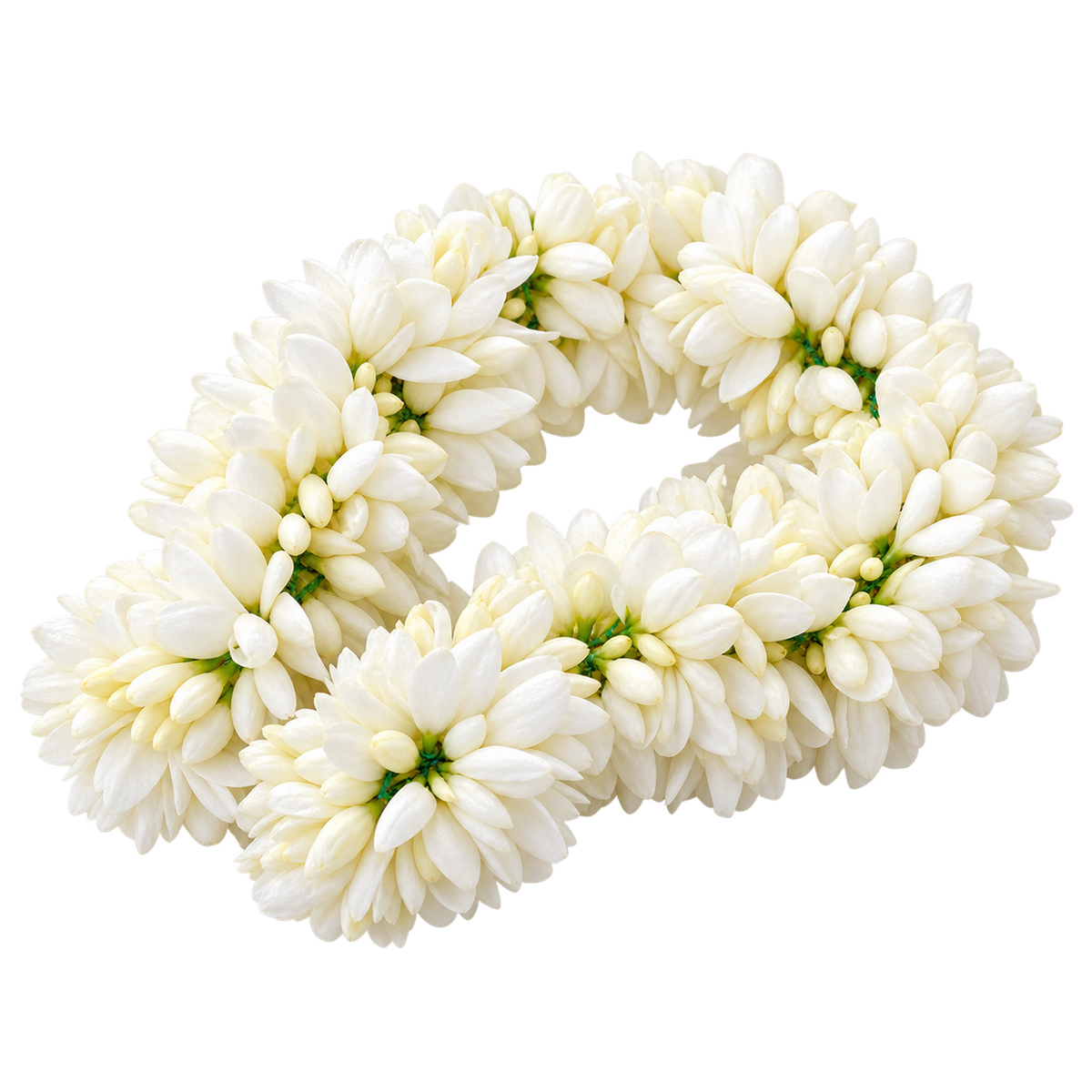 Fresh Jasmine (Mullai) Flower String – 1 ft (30 cm)