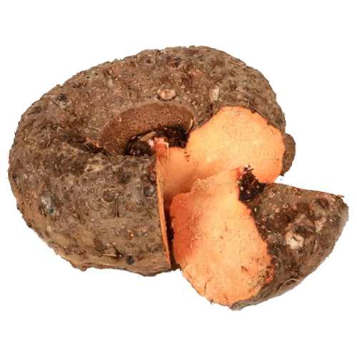 Fresh Elephant Yam (Senai) - Aprx 500g