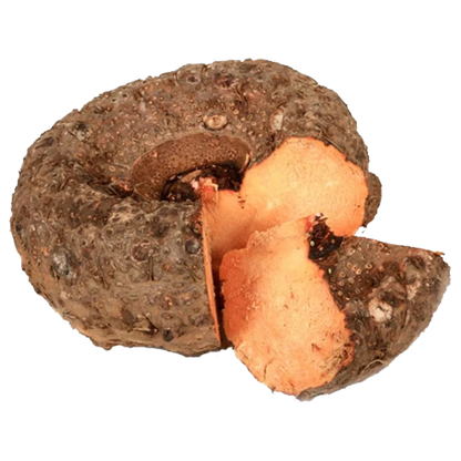 Fresh Elephant Yam (Senai) - Aprx 500g